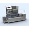 VERTICAL BRUSHED- HAND AND FOOT  DISINFECTION UNIT WITH SINK 